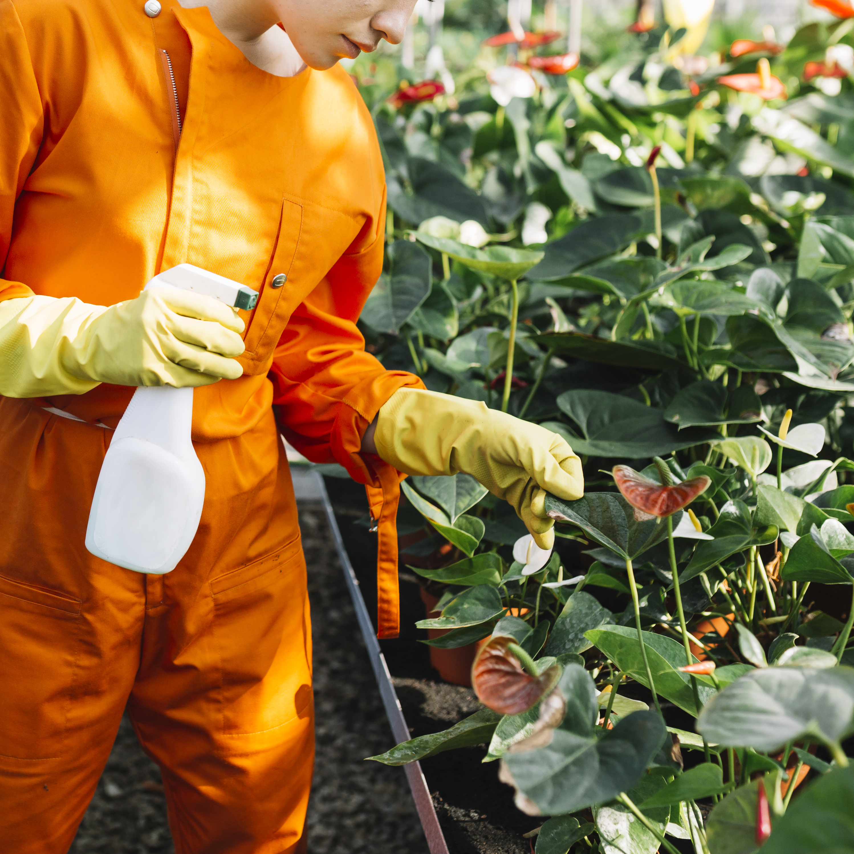 Pesticides
